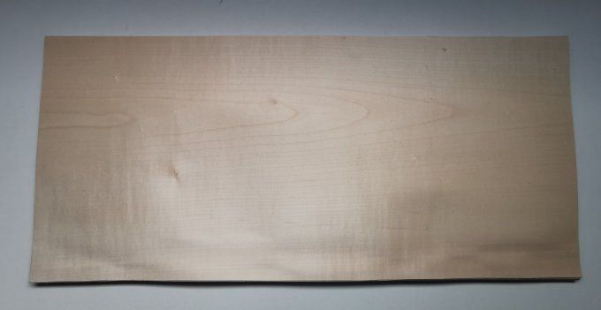 Sycomore / Erable 76 x 34 cm L239
