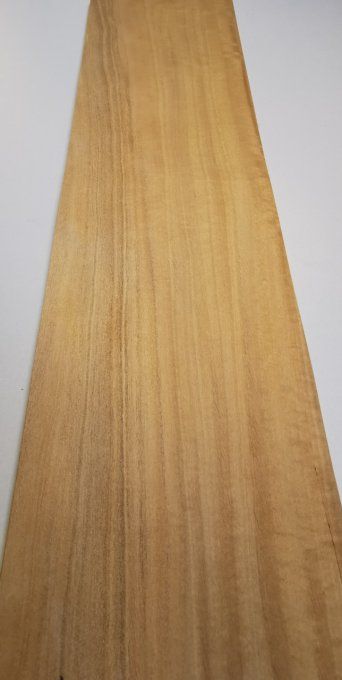 Citronnier de Ceylan 72 x 17 cm L73