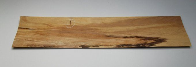 Hêtre truffé  placages.fr