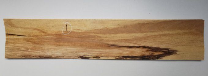 Hêtre truffé  placages.fr
