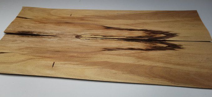 Hêtre truffé  placages.fr