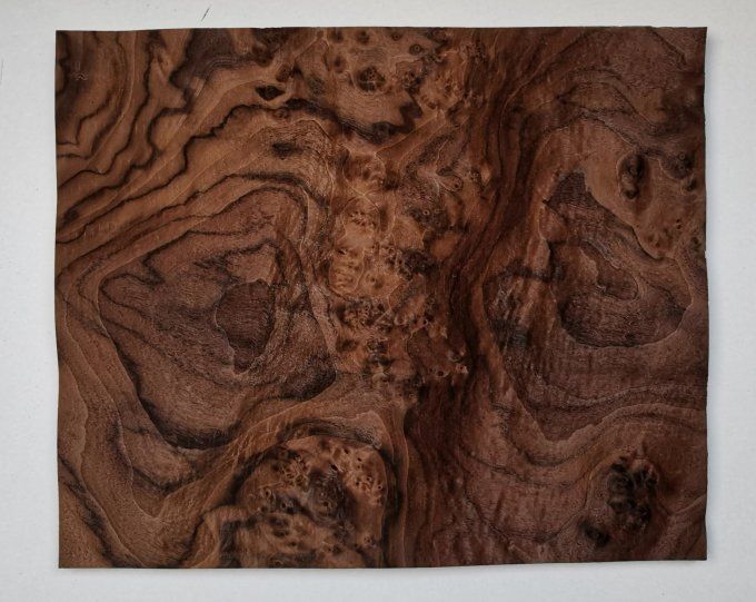 Loupe de Noyer  placages.fr