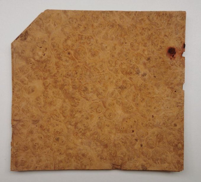 Loupe d'Amboine  placages.fr