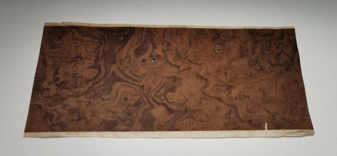Loupe de Noyer  placages.fr