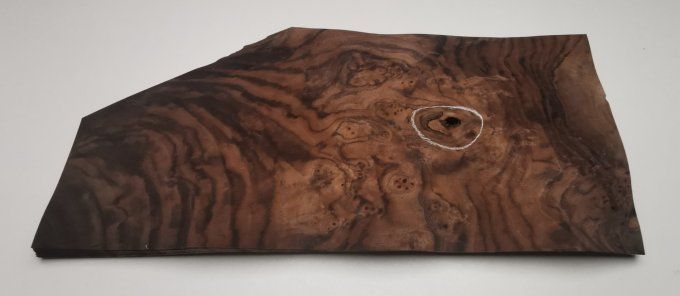 Loupe de Noyer placages.fr