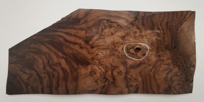 Loupe de Noyer  placages.fr