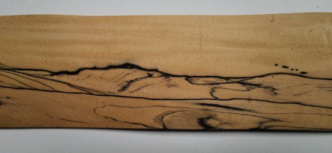 Ebène blanc placages.fr