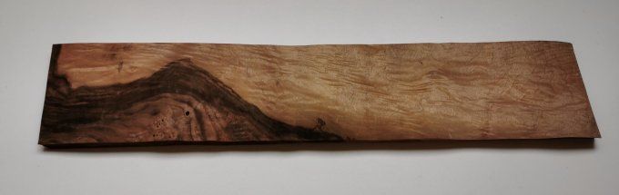 Loupe de Noyer  placages.fr