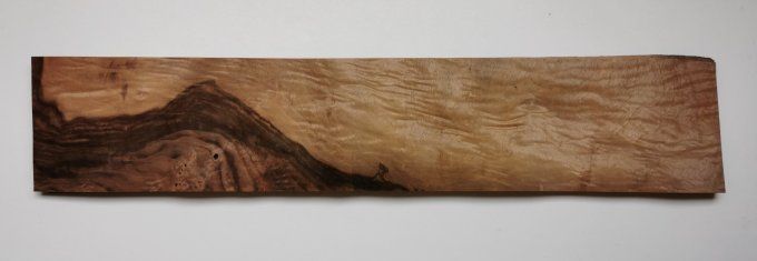 Loupe de Noyer  placages.fr