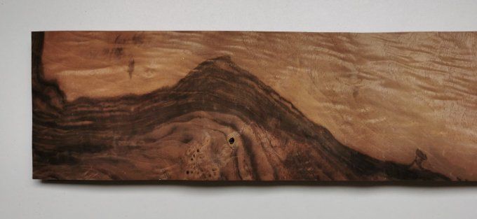 Loupe de Noyer  placages.fr