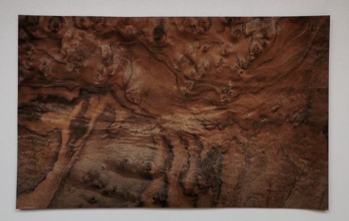 Loupe de Noyer placages.fr