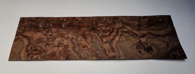 Loupe de Noyer placages.fr