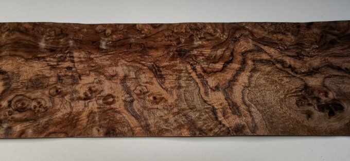 Loupe de Noyer placages.fr