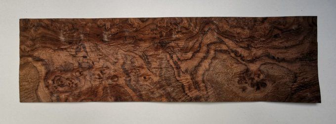 Loupe de Noyer placages.fr