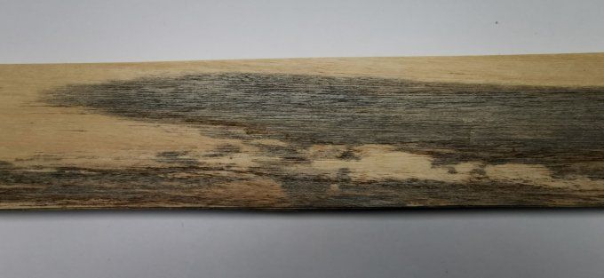 Koto bleuté placages.fr