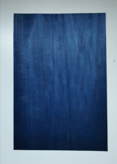 Tuliper bleu nuit 30 x 18 cm 