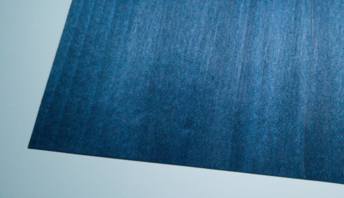 Tuliper bleu nuit 30 x 18 cm 