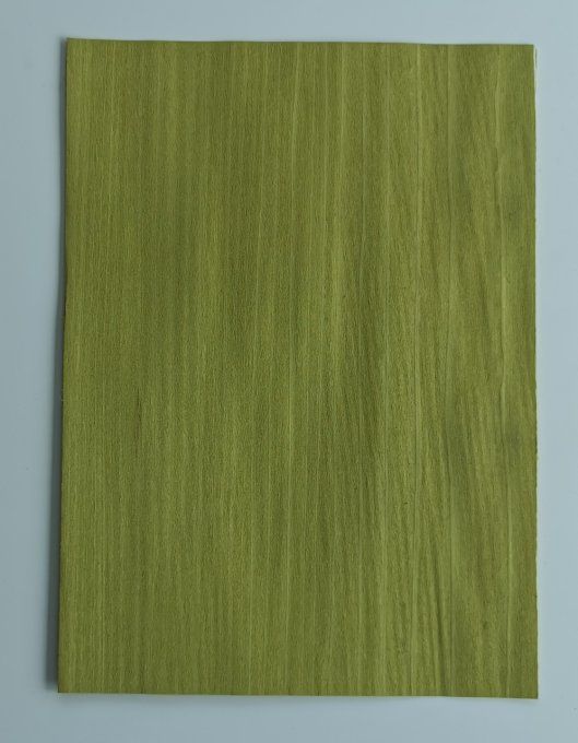 Tulipier vert olive 20 x 30 cm