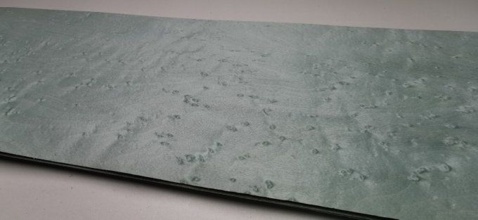 Erable moucheté vert pastel 72 x 17 cm