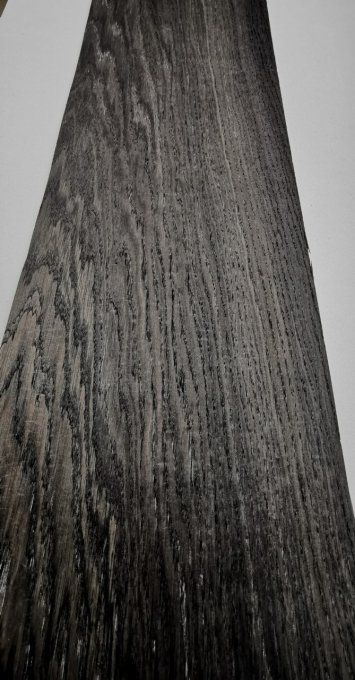 Chêne des marais 76 x 23 cm L153