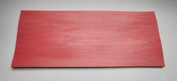 Tulipier teinté rose 60 x 25 cm    