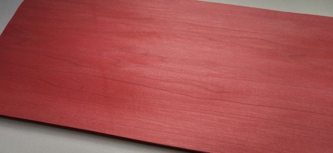 Tulipier teinté rose 60 x 25 cm    