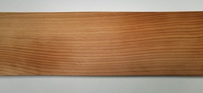 Cèdre du Liban 77 x 18 cm  L95