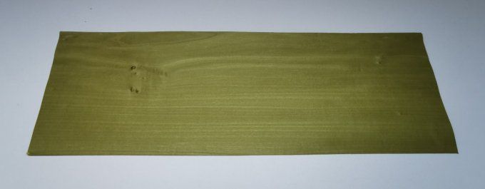 Tulipier vert olive 60 x 20 cm   