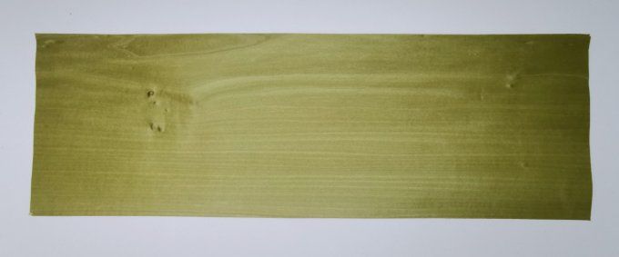 Tulipier vert olive 60 x 20 cm   