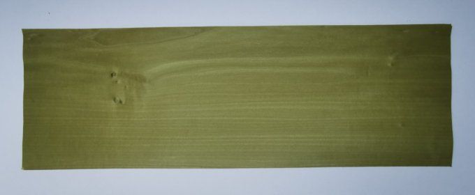 Tulipier vert olive 60 x 20 cm   