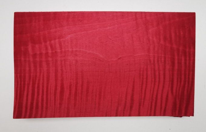 Erable ondé rouge 20 x 30 cm  
