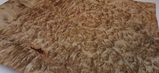 Loupe de Madrona gold 42 x 30 cm L53
