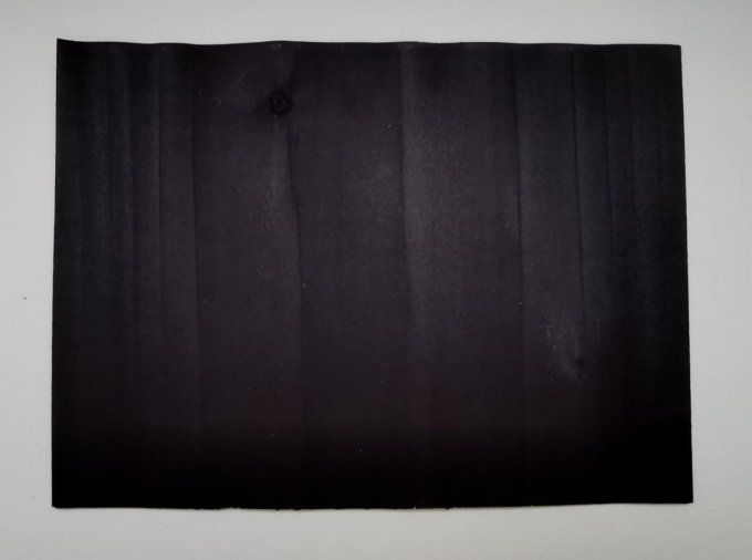 Tulipier teinté noir 20 x 30 cm