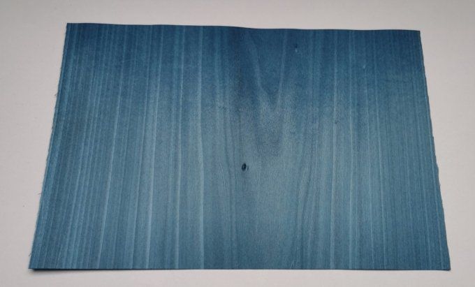 Tulipier bleu lagon 20 x 30 cm  