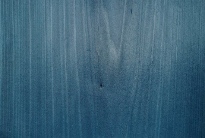 Tulipier bleu lagon 20 x 30 cm  