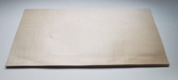 Sycomore / Erable 76 x 34 cm L239