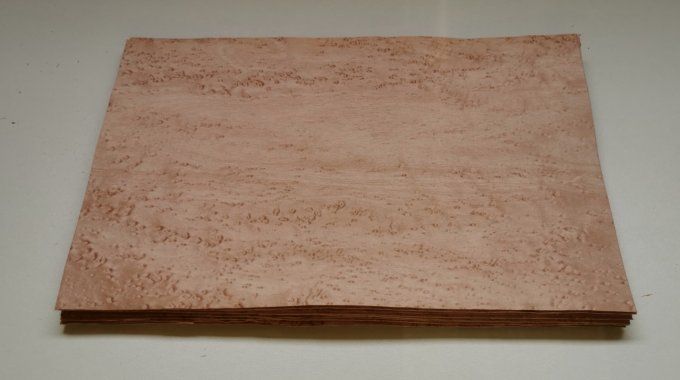 Erable moucheté teinté rose  20 x 30 cm    