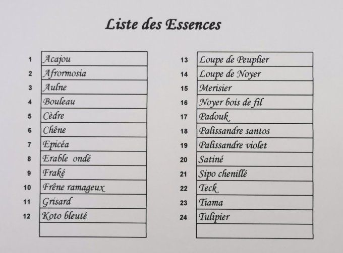 Lot Découverte 24 essences 15 x 25 cm placage bois