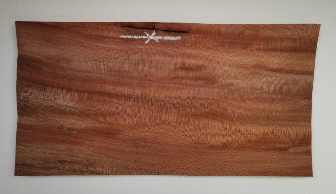 Platane maillé 55 x 25 cm L212