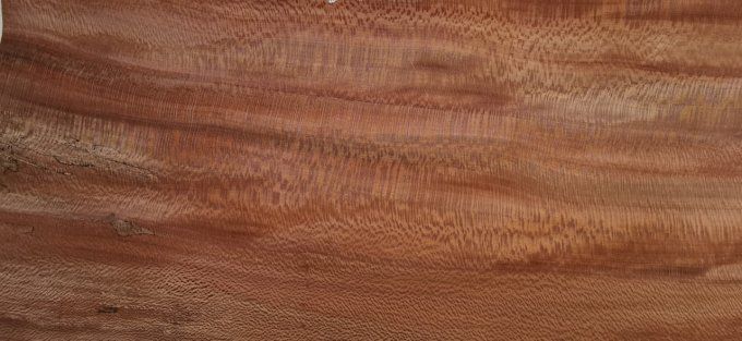 Platane maillé 55 x 25 cm L212