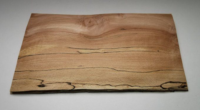 Hêtre truffé Ep : 0.9 mm  41 x 21 cm L220