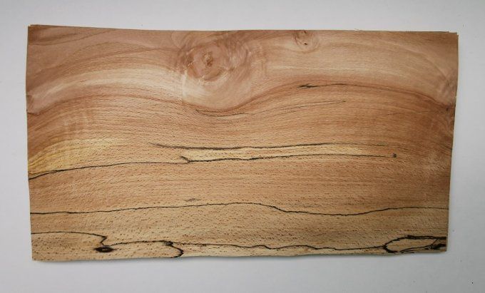Hêtre truffé Ep : 0.9 mm  41 x 21 cm L220