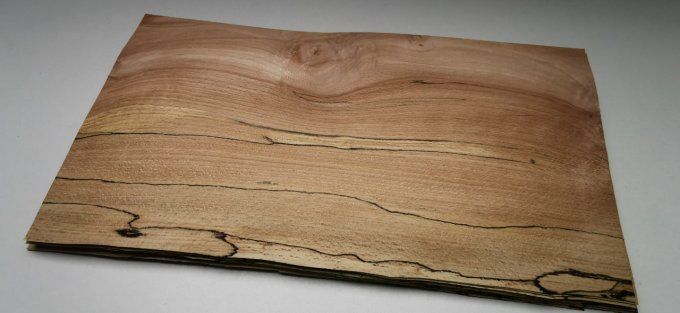 Hêtre truffé Ep : 0.9 mm  41 x 21 cm L220