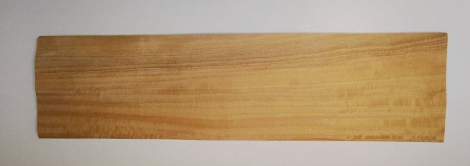 Citronnier de Ceylan 72 x 17 cm L73