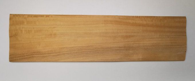 Citronnier de Ceylan 72 x 17 cm L73
