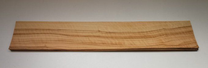 Olivier d'Italie 70 x 12 cm L120