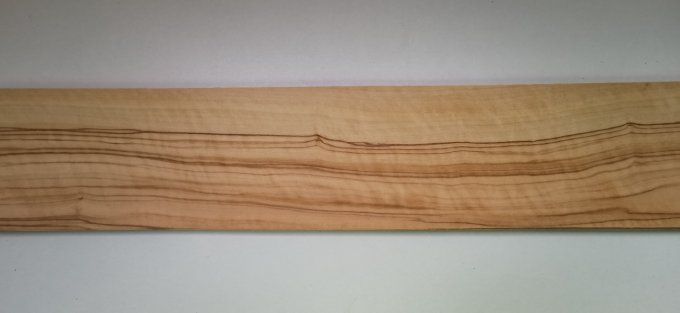 Olivier d'Italie 70 x 12 cm L120