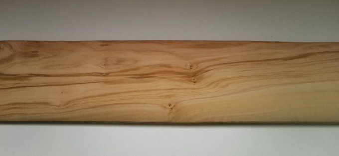 Olivier d'Italie 62 x 14 cm L30 