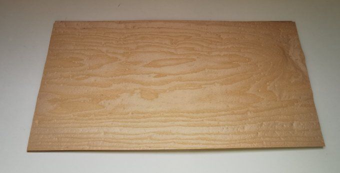 Frêne pommelé 64 x 31 cm L208