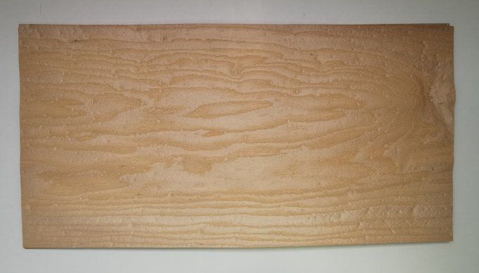 Frêne pommelé 64 x 31 cm L208